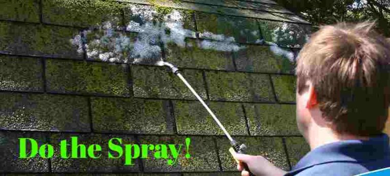 Homemade Moss Killer For Roofs 2 Methods Of Removing Moss