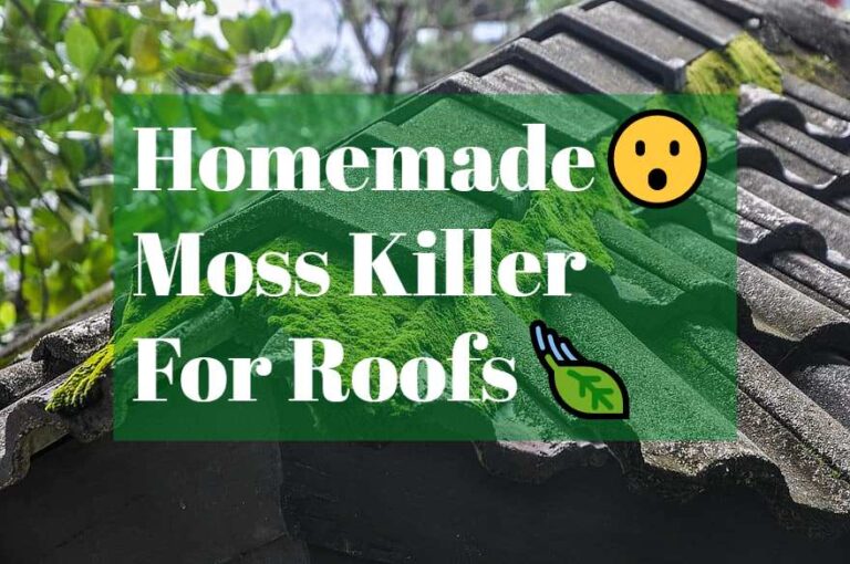 Homemade moss killer for roofs: 2 Methods Of Removing Moss