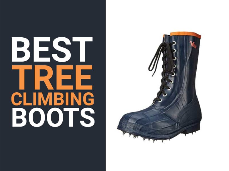 Best-Tree-Climbing-Boots