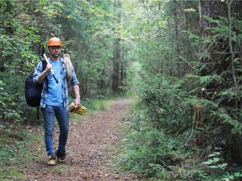 logger in the woods