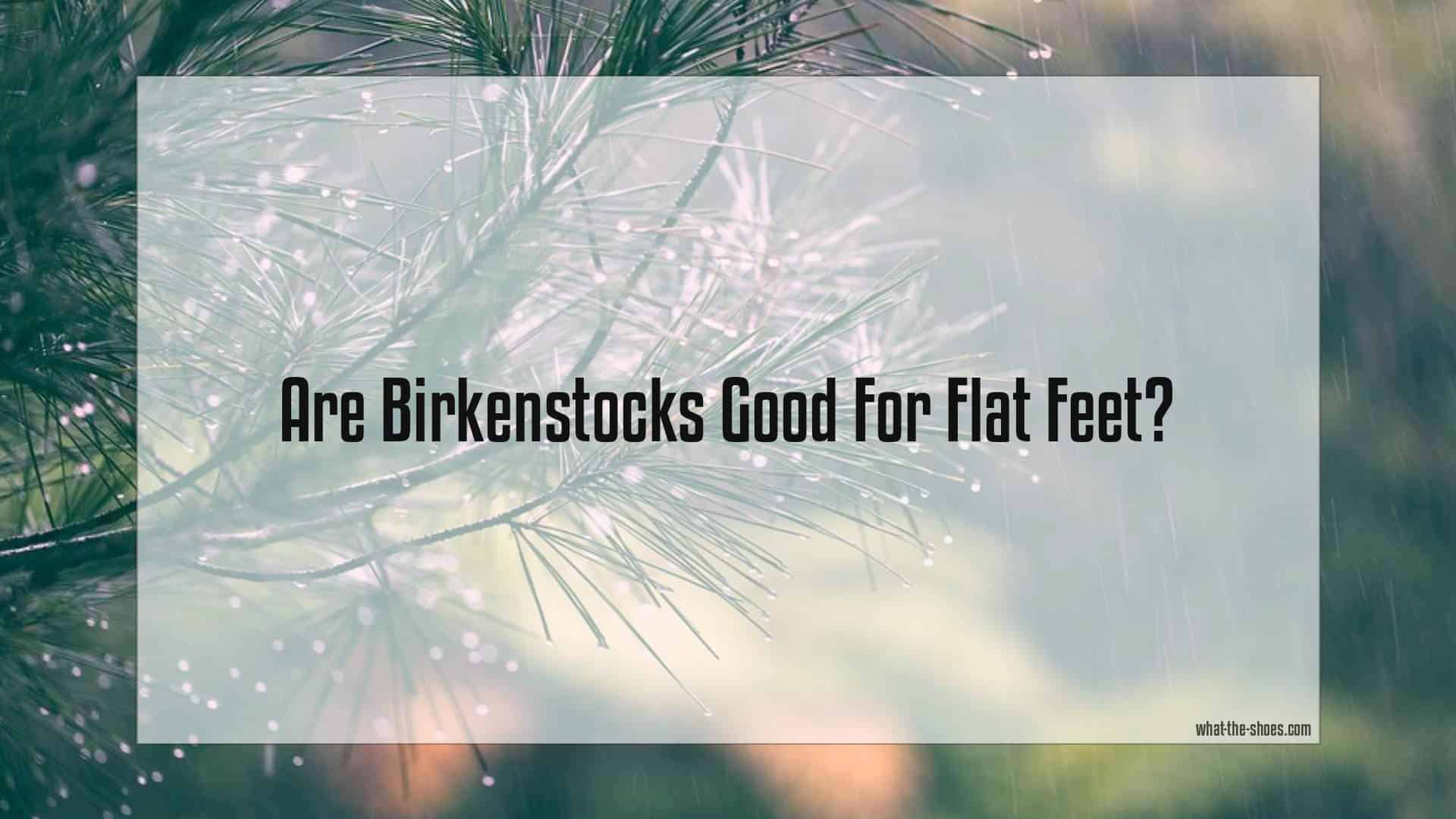 Are Birkenstocks Good For Flat Feet? A Comprehensive Guide