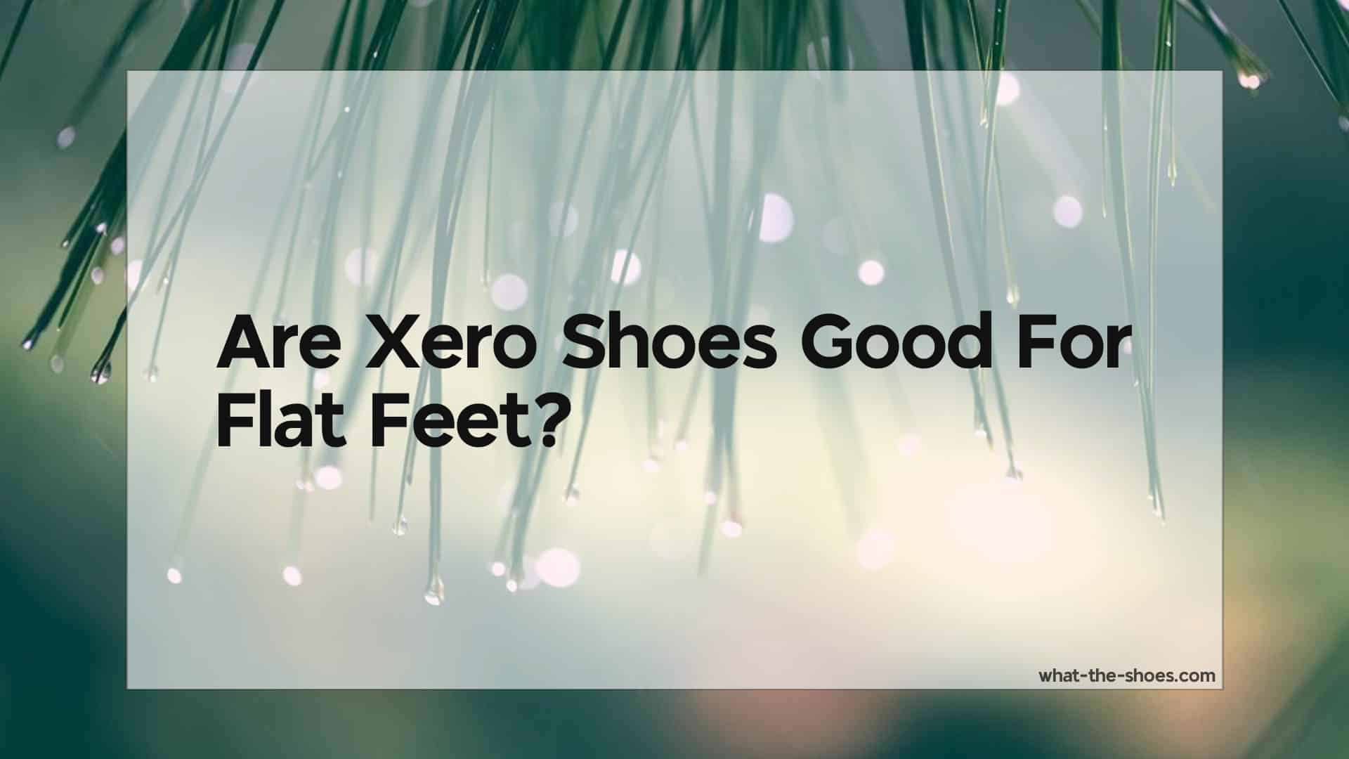 Are Xero Shoes Good For Flat Feet? Unlocking the Truth